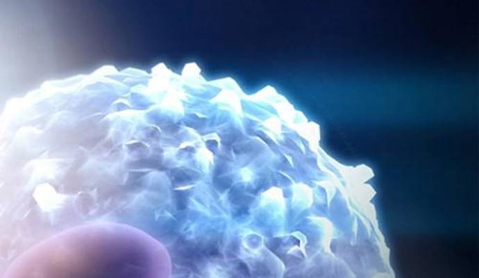 A close-up of a part of a cell in the bottom left corner with a visible part of nucleus