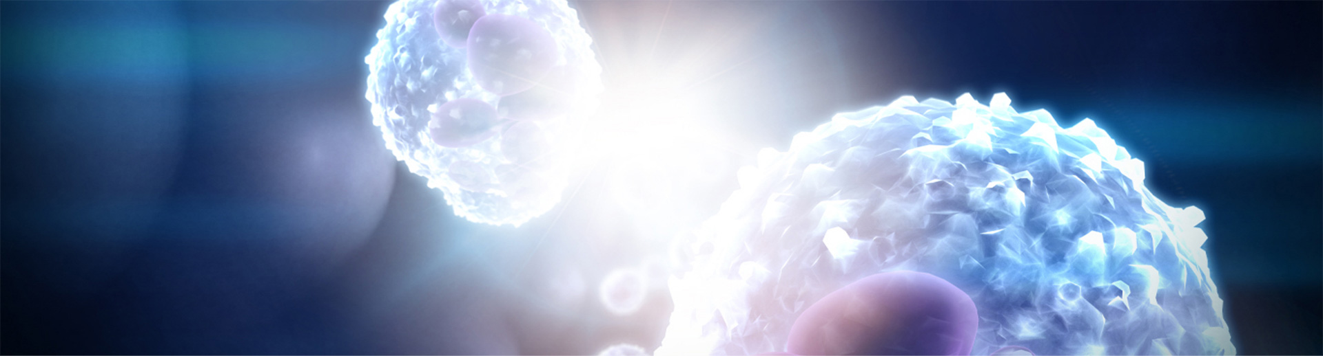 Immunomodulation visualisation