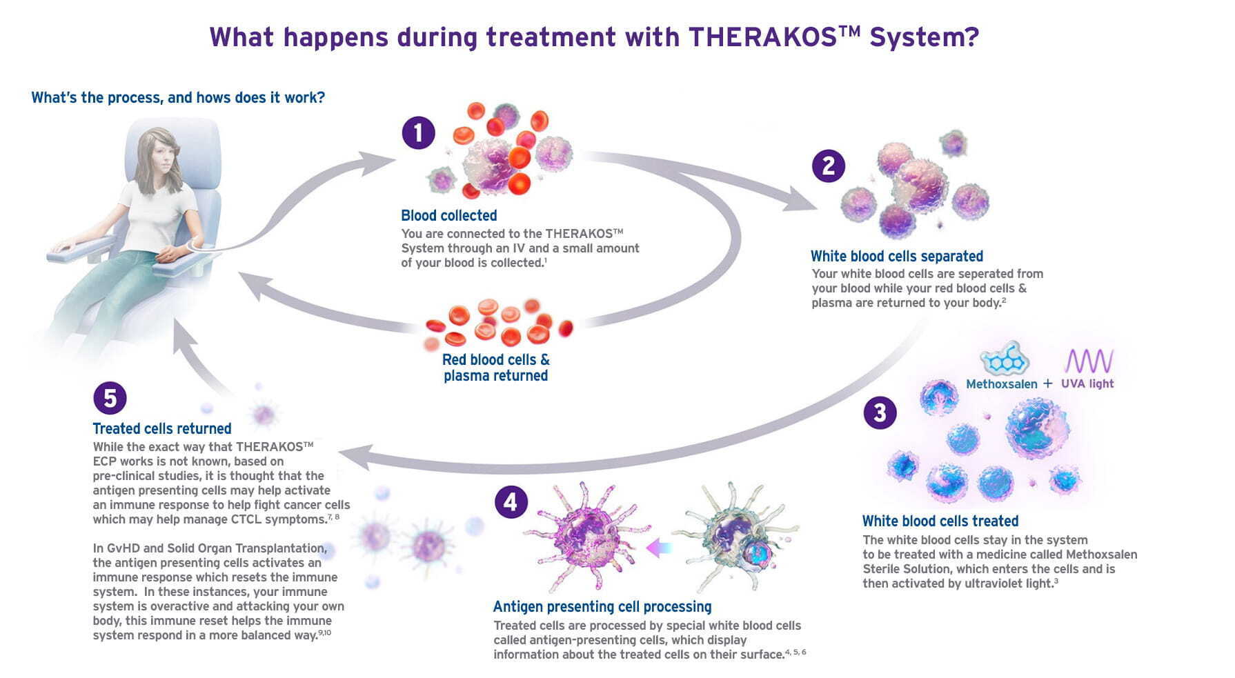 what-happens-during-treatment-eu-v3.jpg