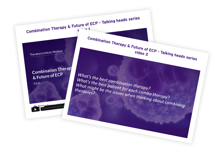 Webinar Screenshots 2